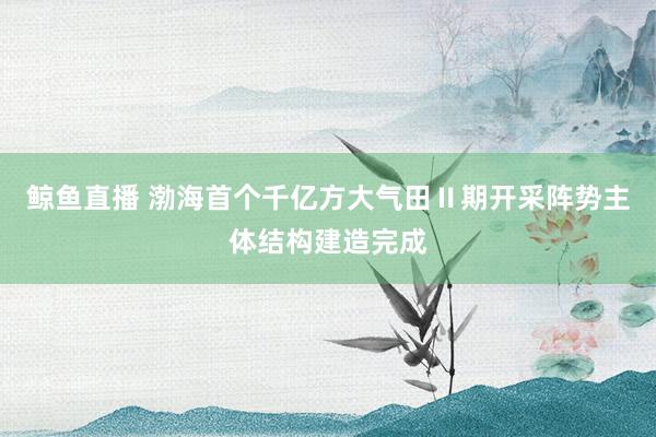 鲸鱼直播 渤海首个千亿方大气田Ⅱ期开采阵势主体结构建造完成