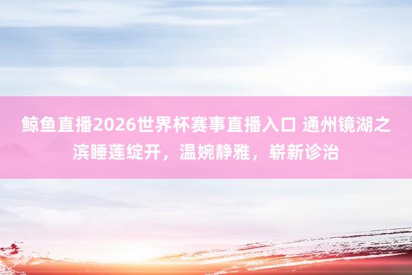 鲸鱼直播2026世界杯赛事直播入口 通州镜湖之滨睡莲绽开，温婉静雅，崭新诊治
