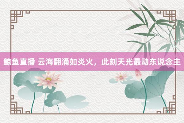 鲸鱼直播 云海翻涌如炎火，<a href=