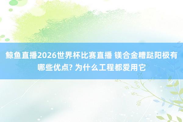 鲸鱼直播2026世界杯比赛直播 镁合金糟跶阳极有哪些优点? 为什么工程都爱用它