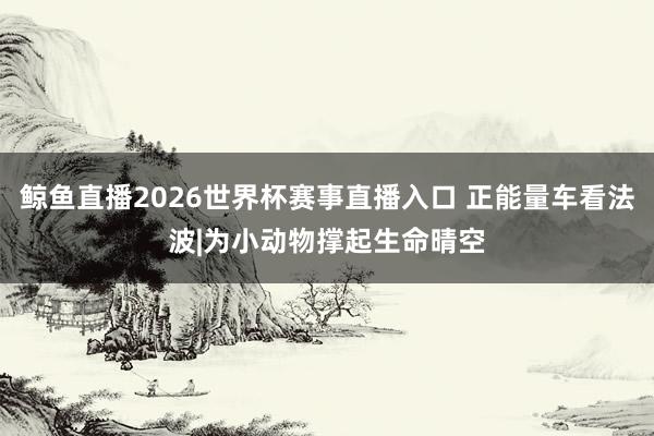 鲸鱼直播2026世界杯赛事直播入口 正能量车看法波|为小动物撑起生命晴空