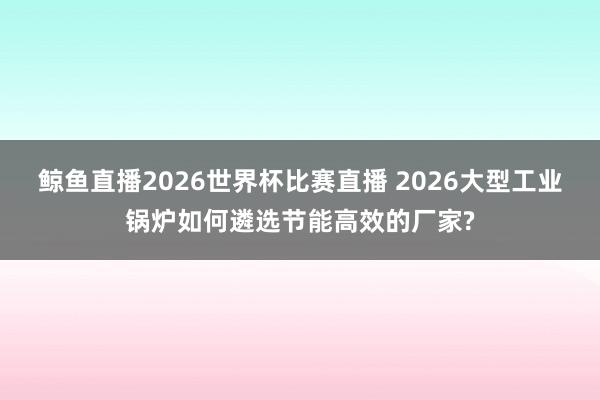 鲸鱼直播2026世界杯比赛直播 2026大型工业锅炉如何遴选节能高效的厂家?