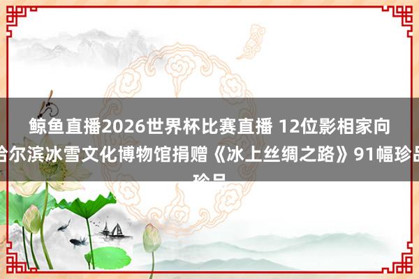 鲸鱼直播2026世界杯比赛直播 12位影相家向哈尔滨冰雪文化博物馆捐赠《冰上丝绸之路》91幅珍品