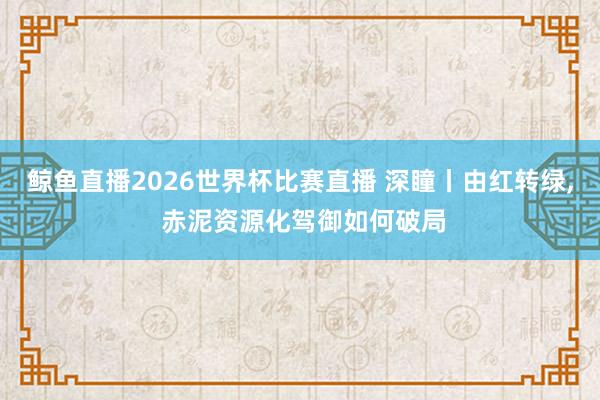 鲸鱼直播2026世界杯比赛直播 深瞳丨由红转绿, 赤泥资源化驾御如何破局