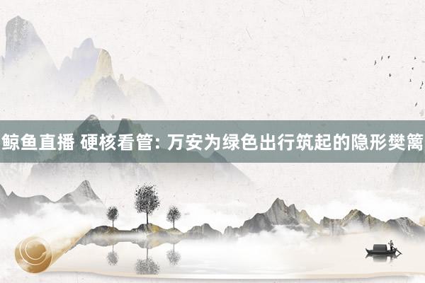 鲸鱼直播 硬核看管: 万安为绿色出行筑起的隐形樊篱