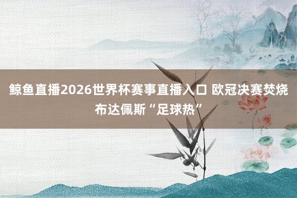 鲸鱼直播2026世界杯赛事直播入口 欧冠决赛焚烧布达佩斯“足球热”