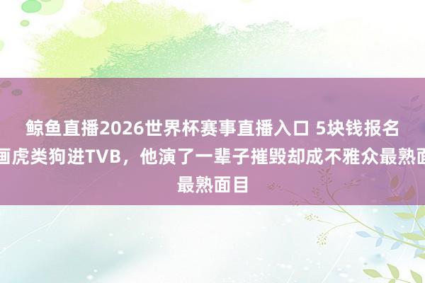鲸鱼直播2026世界杯赛事直播入口 5块钱报名费画虎类狗进TVB，他演了一辈子摧毁却成不雅众最熟面目