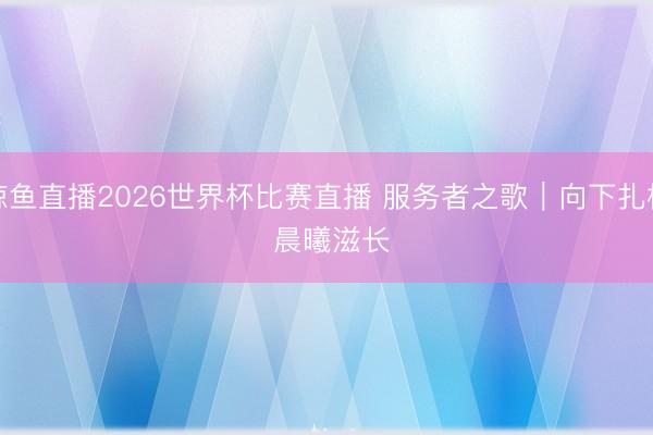 鲸鱼直播2026世界杯比赛直播 服务者之歌|向下扎根 晨曦滋长