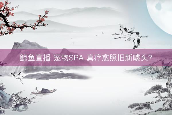 鲸鱼直播 宠物SPA 真疗愈照旧新噱头?
