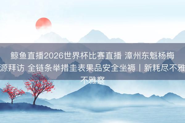 鲸鱼直播2026世界杯比赛直播 漳州东魁杨梅溯源拜访 全链条举措圭表果品安全坐褥丨新耗尽不雅察