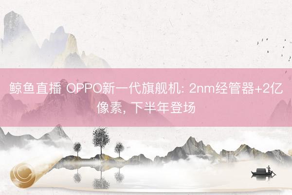 鲸鱼直播 OPPO新一代旗舰机: 2nm经管器+2亿像素, 下半年登场