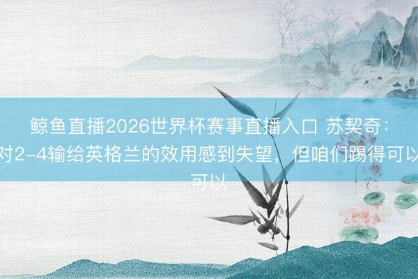 鲸鱼直播2026世界杯赛事直播入口 苏契奇：对2-4输给英格兰的效用感到失望，但咱们踢得可以