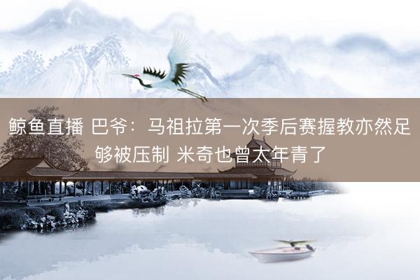 鲸鱼直播 巴爷:马祖拉第一次季后赛握教亦然足够被压制 米奇也曾太年青了